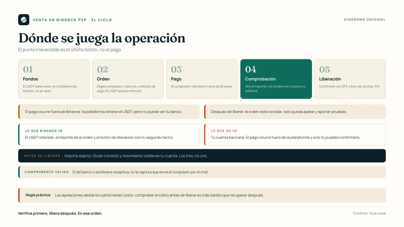Diagrama original de CoinRuta con el ciclo de una venta P2P en Binance: el USDT queda retenido al crear la orden, el comprador paga fuera de la plataforma, el vendedor verifica el cobro y solo entonces libera, con el momento exacto en que la operación deja de tener vuelta atrás.